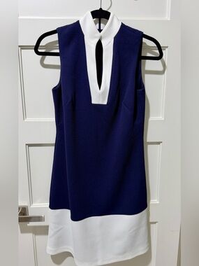 Eliza J Navy and White Framed Split Mandarin Collar Shift Dress 4 - like new!